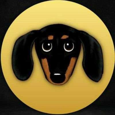 Dachshund dachshund