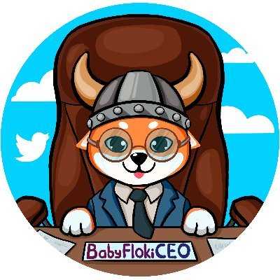 Baby Floki CEO baby-floki-ceo
