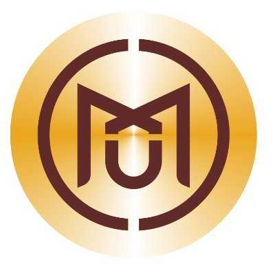 MXM Token mxm-token