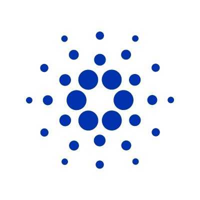 Cardano cardano