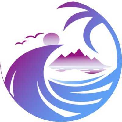 Decentralized Pirates decentralized-pirates