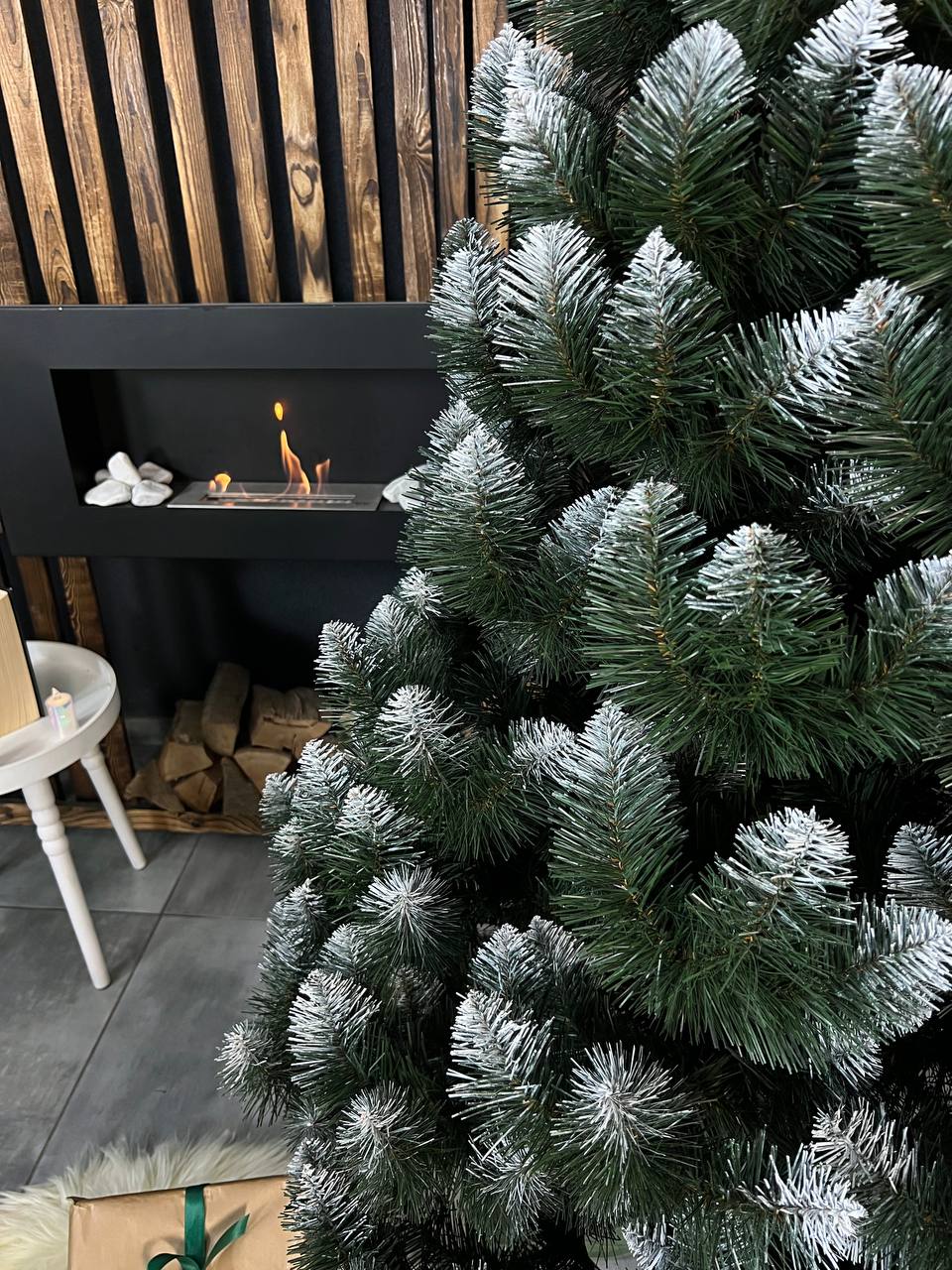 Карпатська ялинка вигляд 2