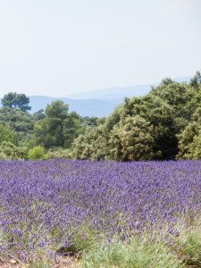 France Antibes 001