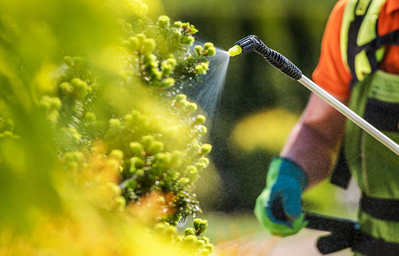 landscapers