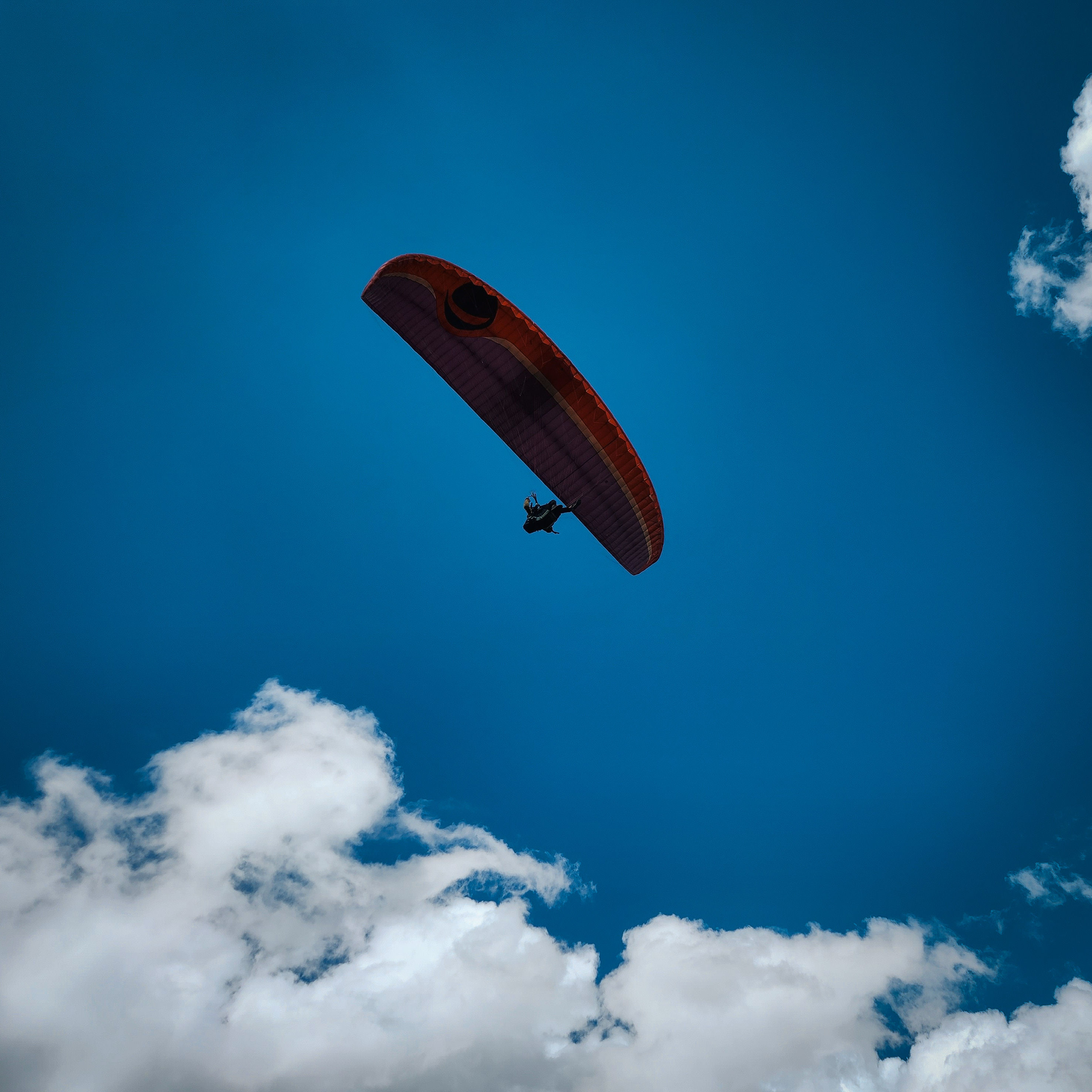 20230929 124635 Original qbXTk6riU