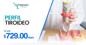 pagina web promociones 08