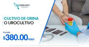 pagina web promociones 12