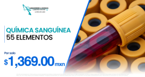 pagina web promociones 13