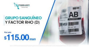 pagina web promociones 14