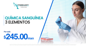 pagina web promociones 16