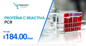 pagina web promociones 17