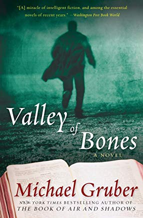 Valley of Bones-book cover