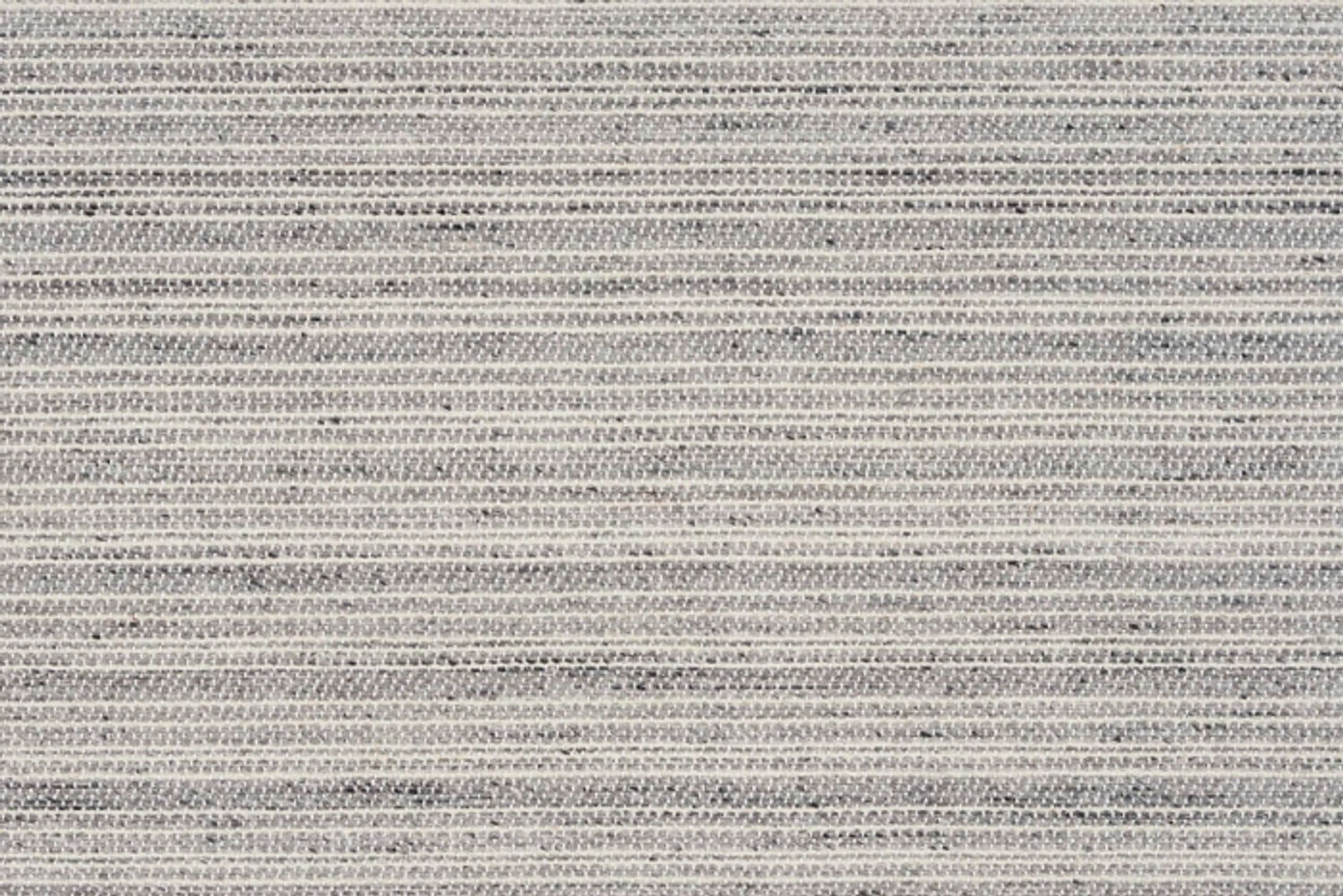 BAHAMA STRIAE