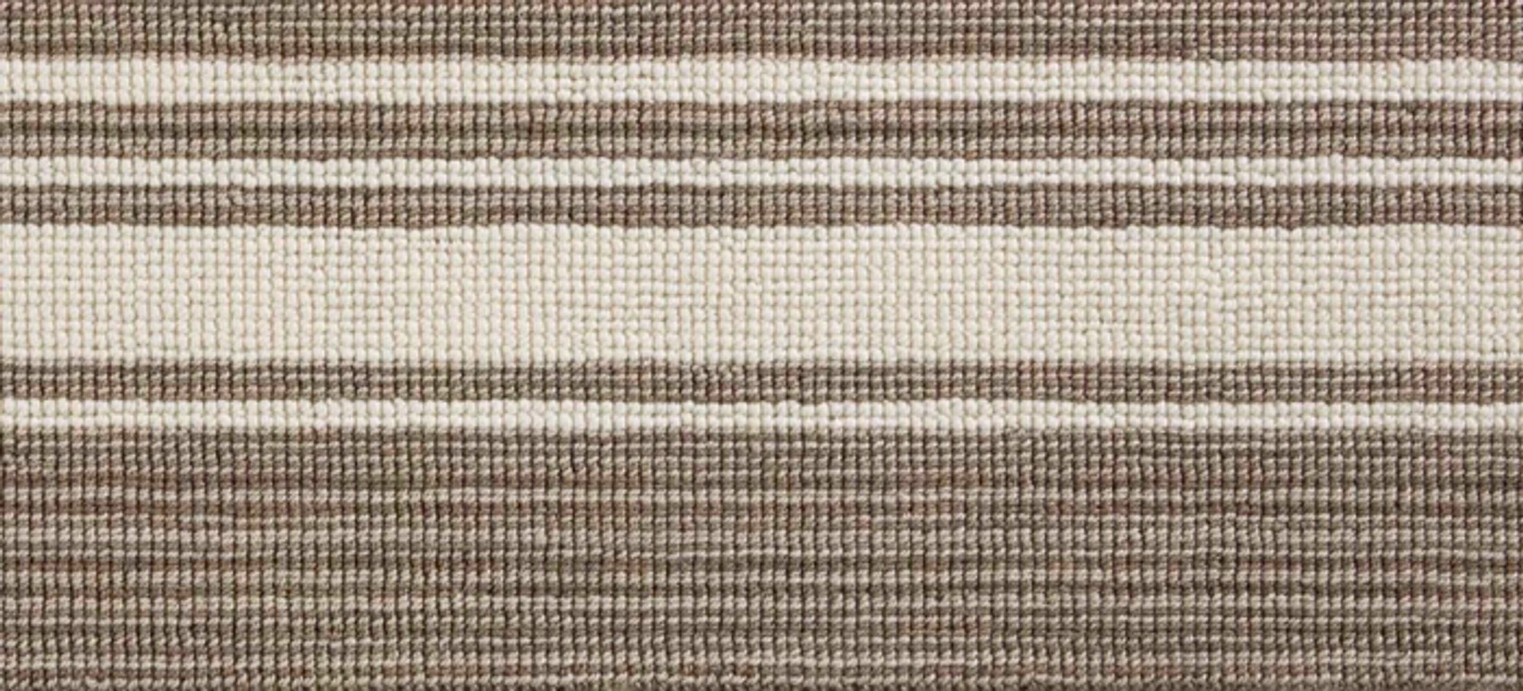 DUNE BORDER