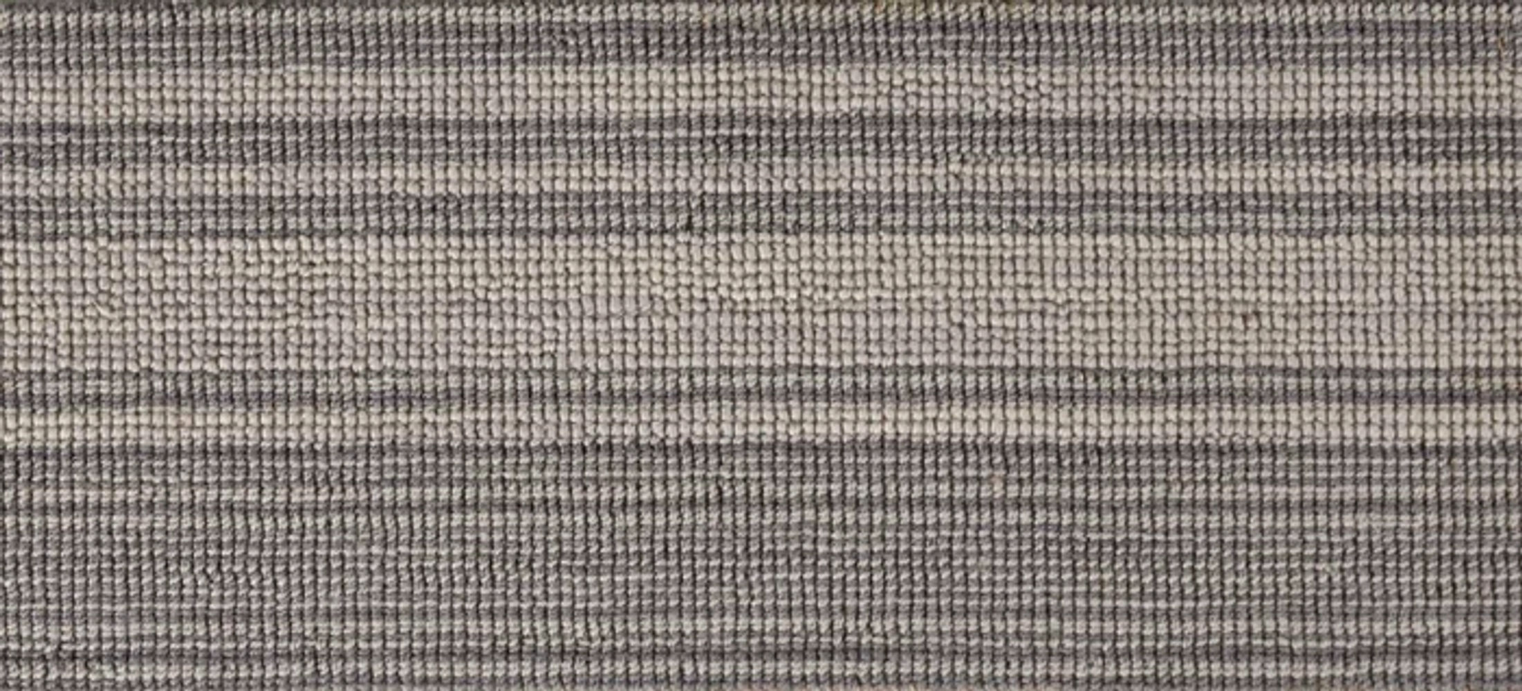 DUNE BORDER