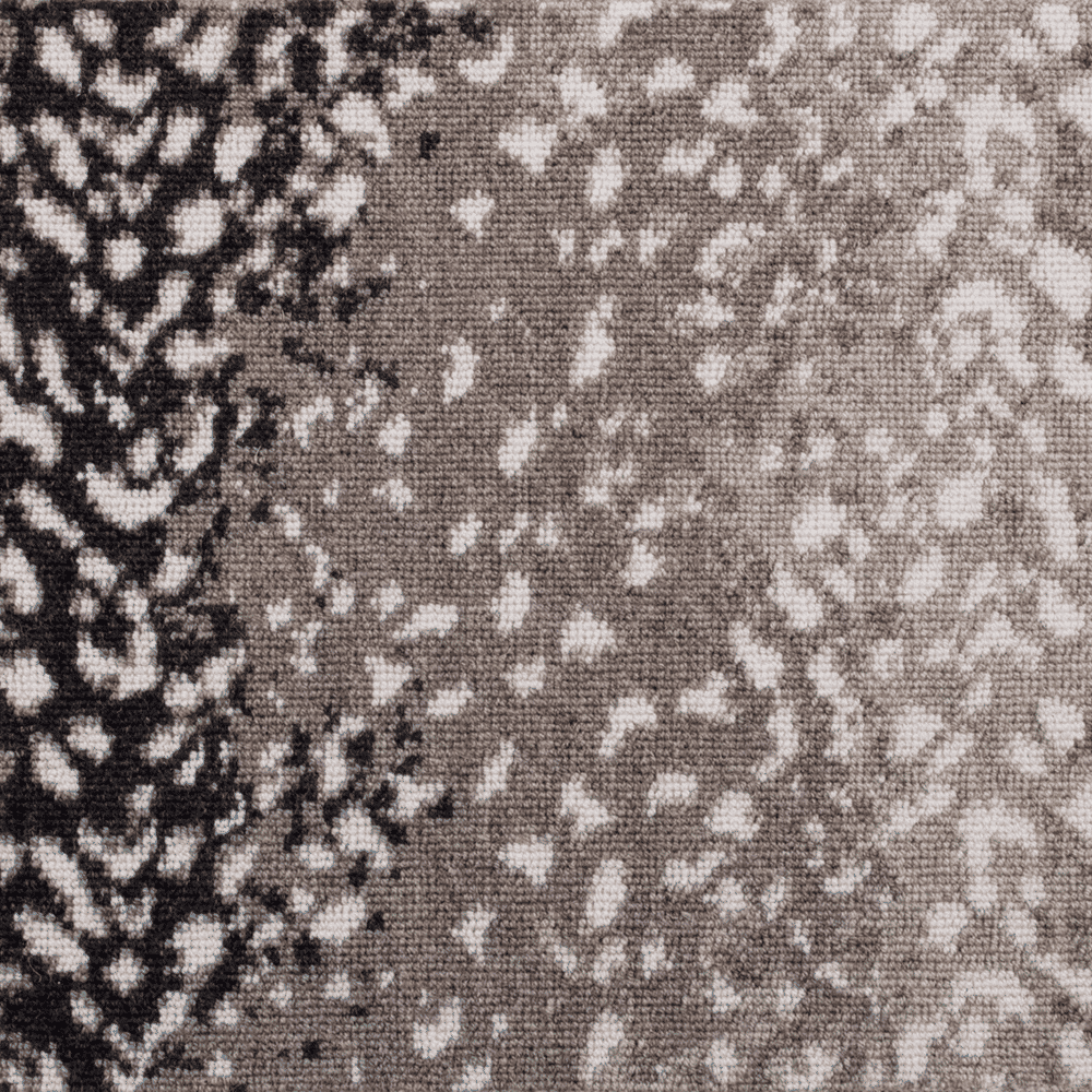 LEOPORA