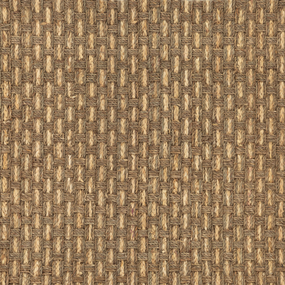 PALMERA