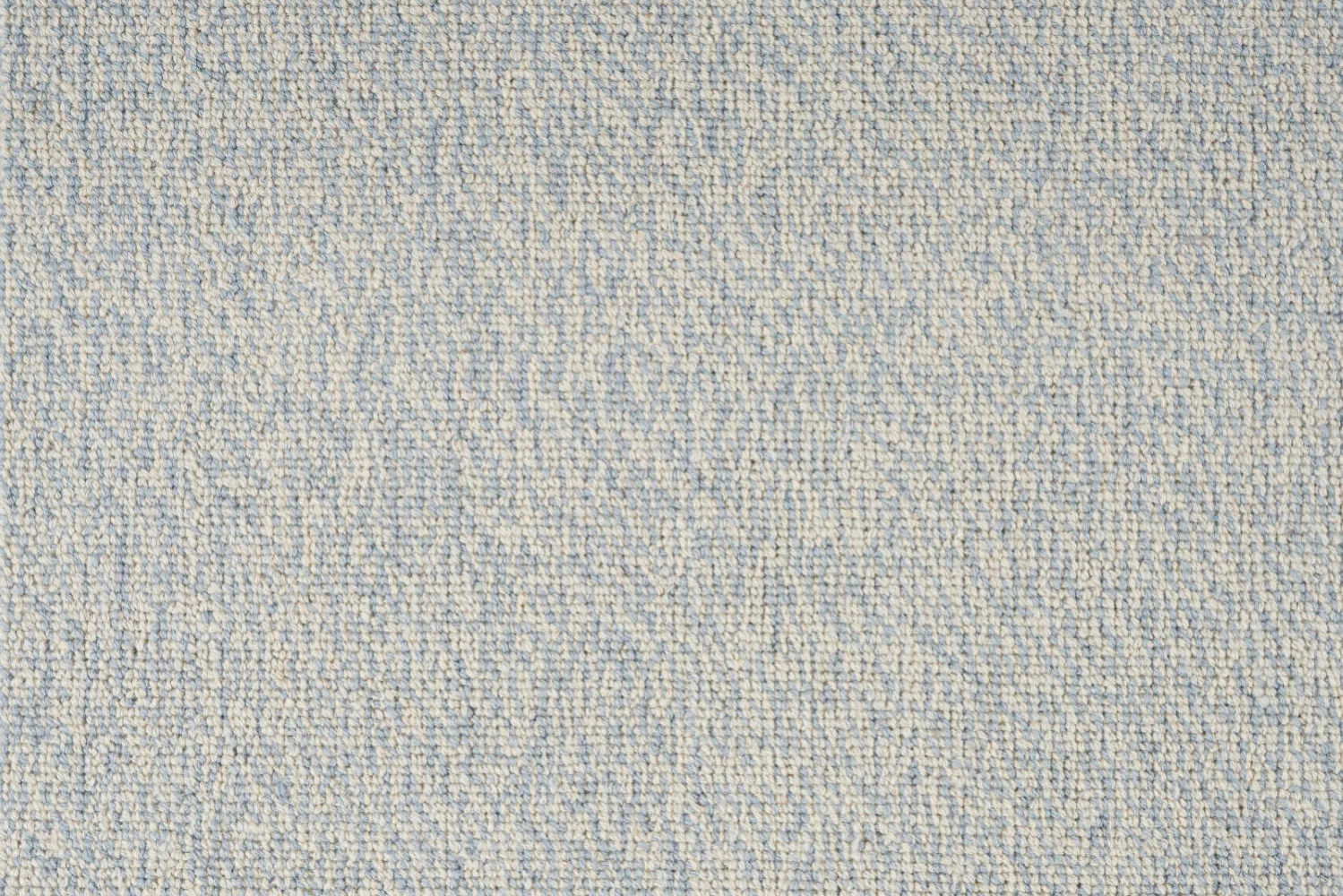 SALTED AIR