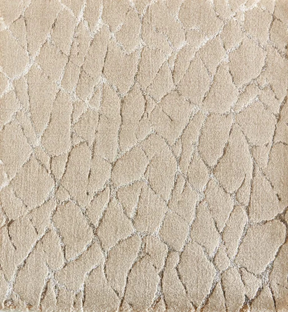 FIELD 404