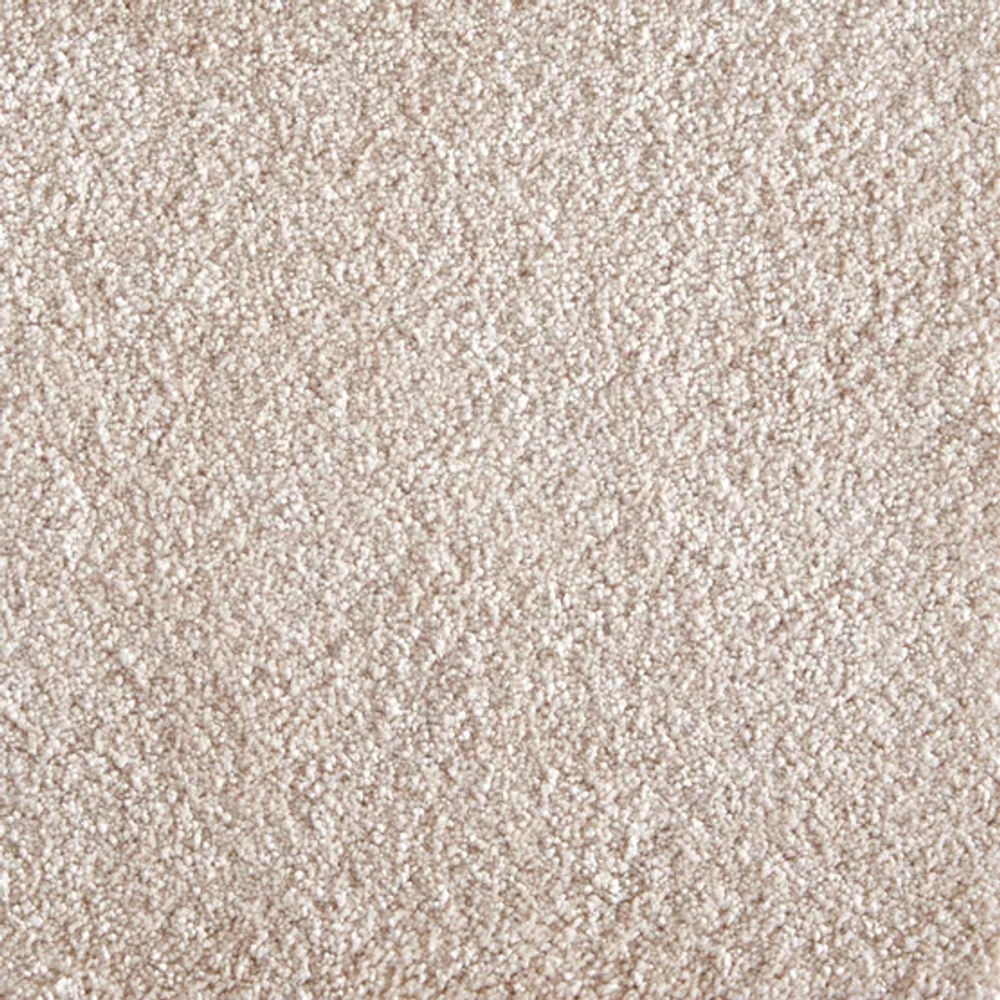 BISQUE 004
