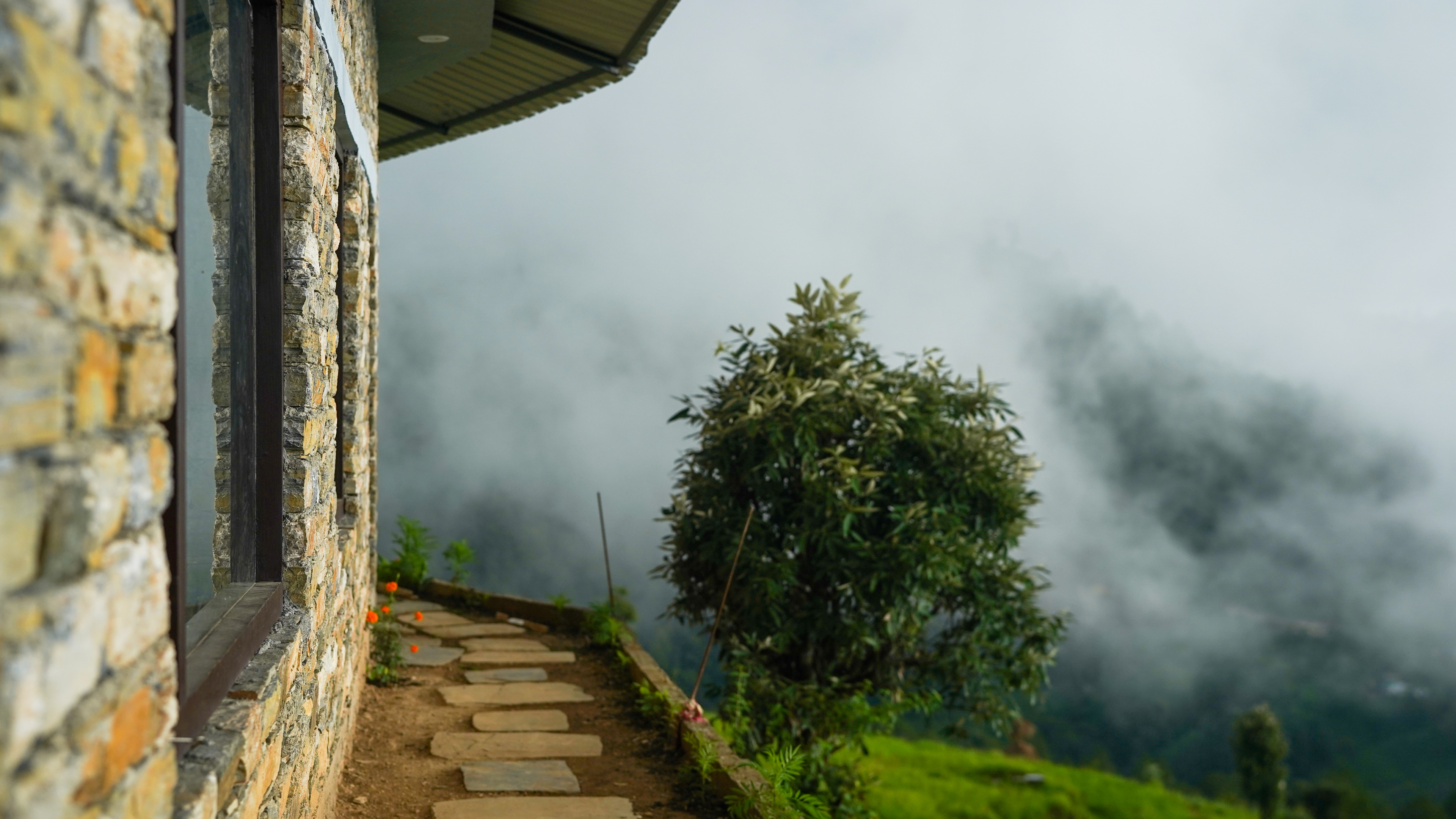 Description of Image 2