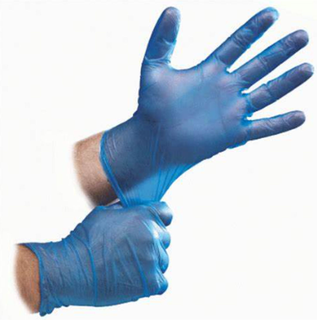 Gesalife Powder Free Vinyl Blue Gloves, Large - Pack of 100