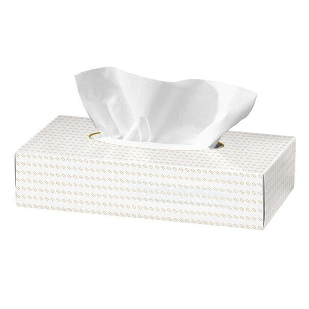 Facial Tissue 100's  (White Slaute) - 1 carton