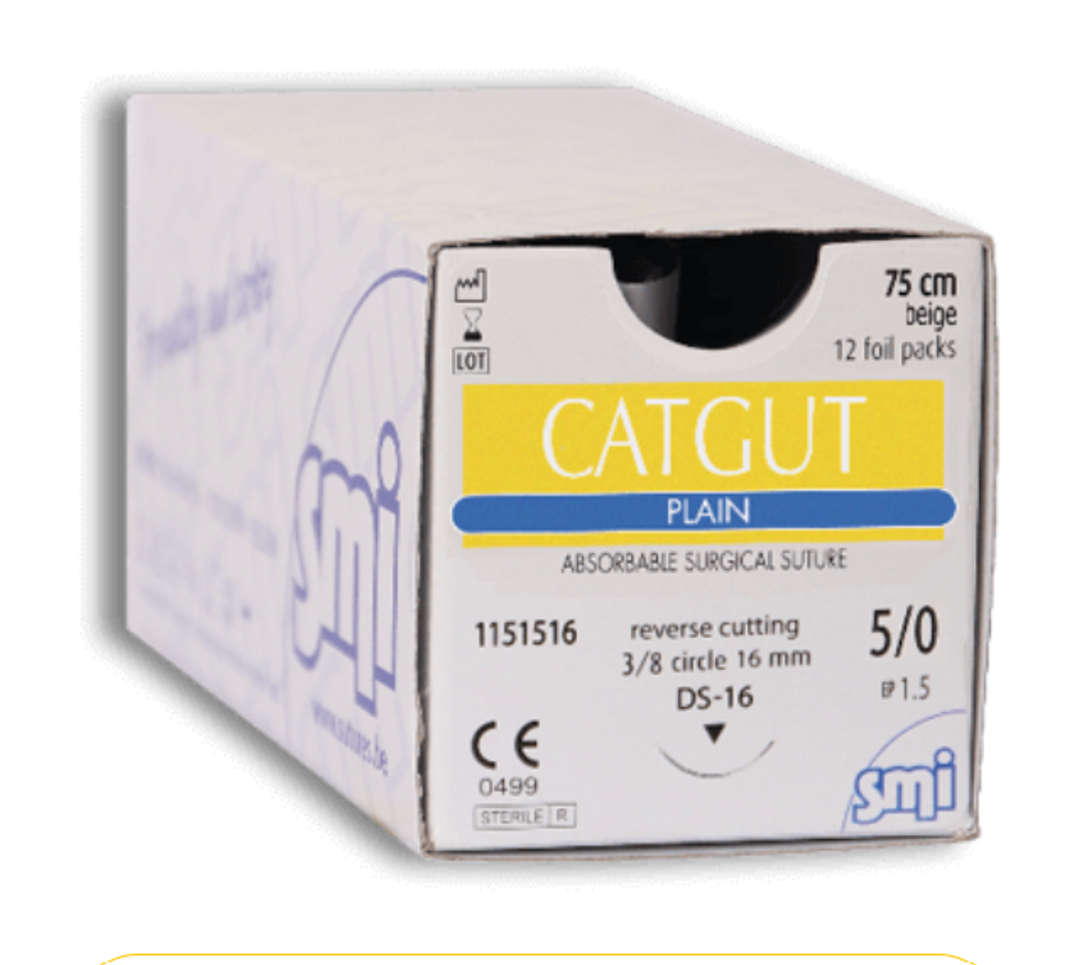 SMI Catgut Plain Ivory Sutures