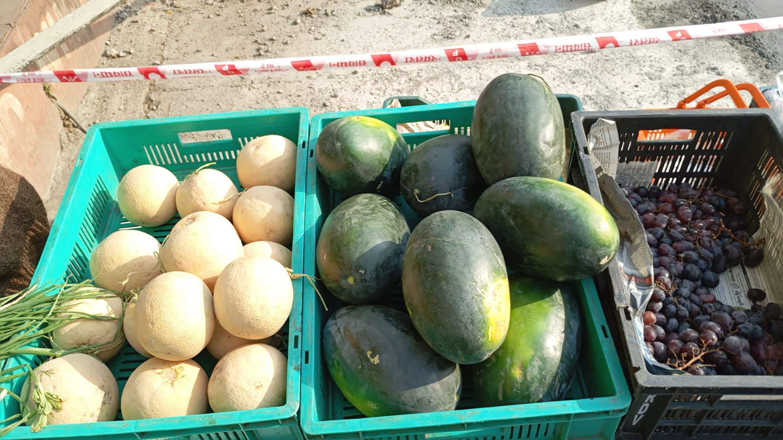 Watermelon