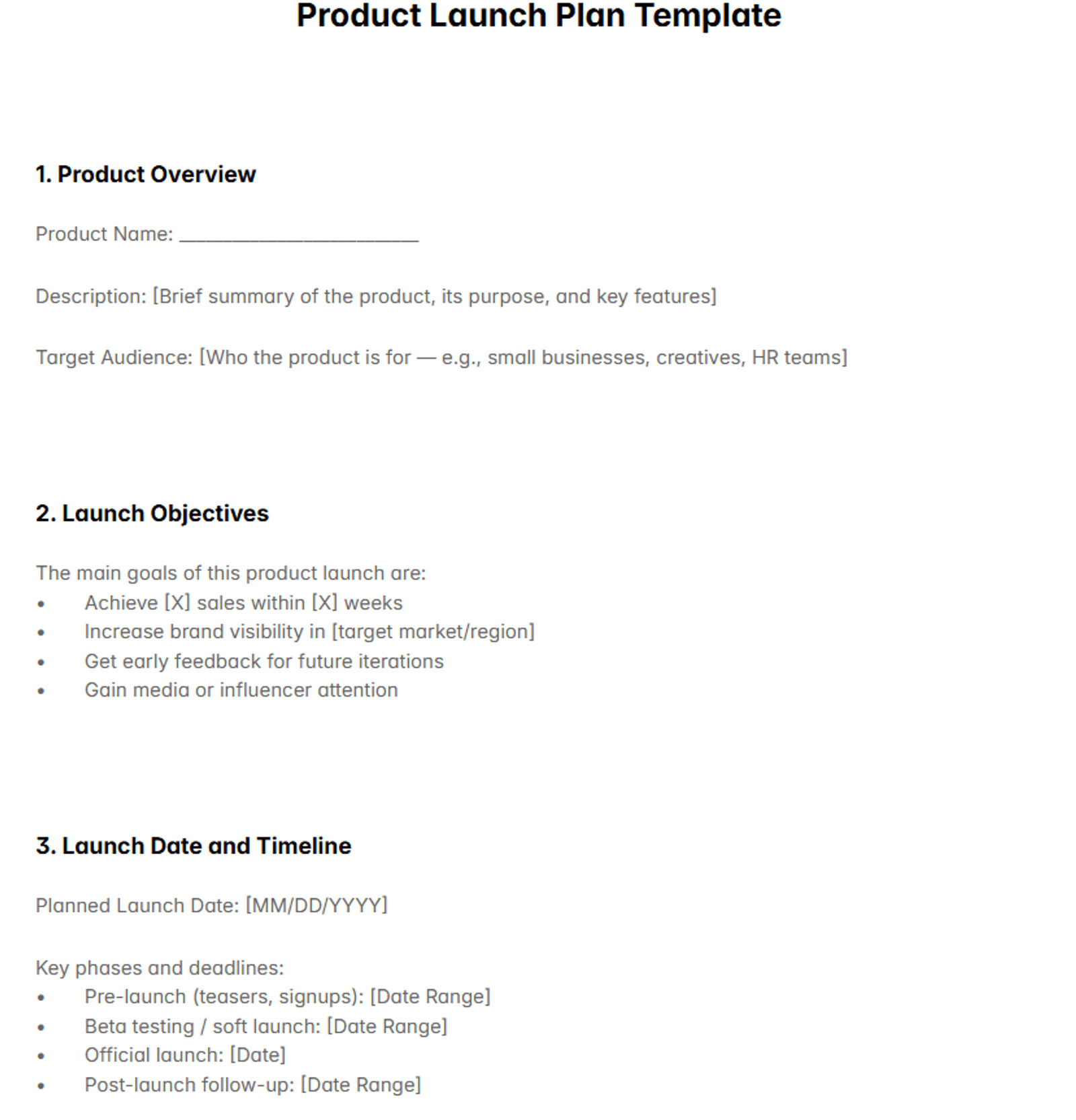 Why Every Business Needs a Product Launch Plan Template