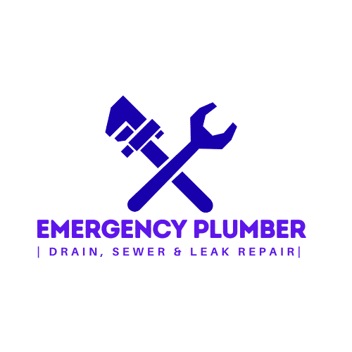 Plumber Washington