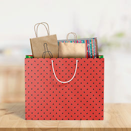Kit de Amostra Sacolas