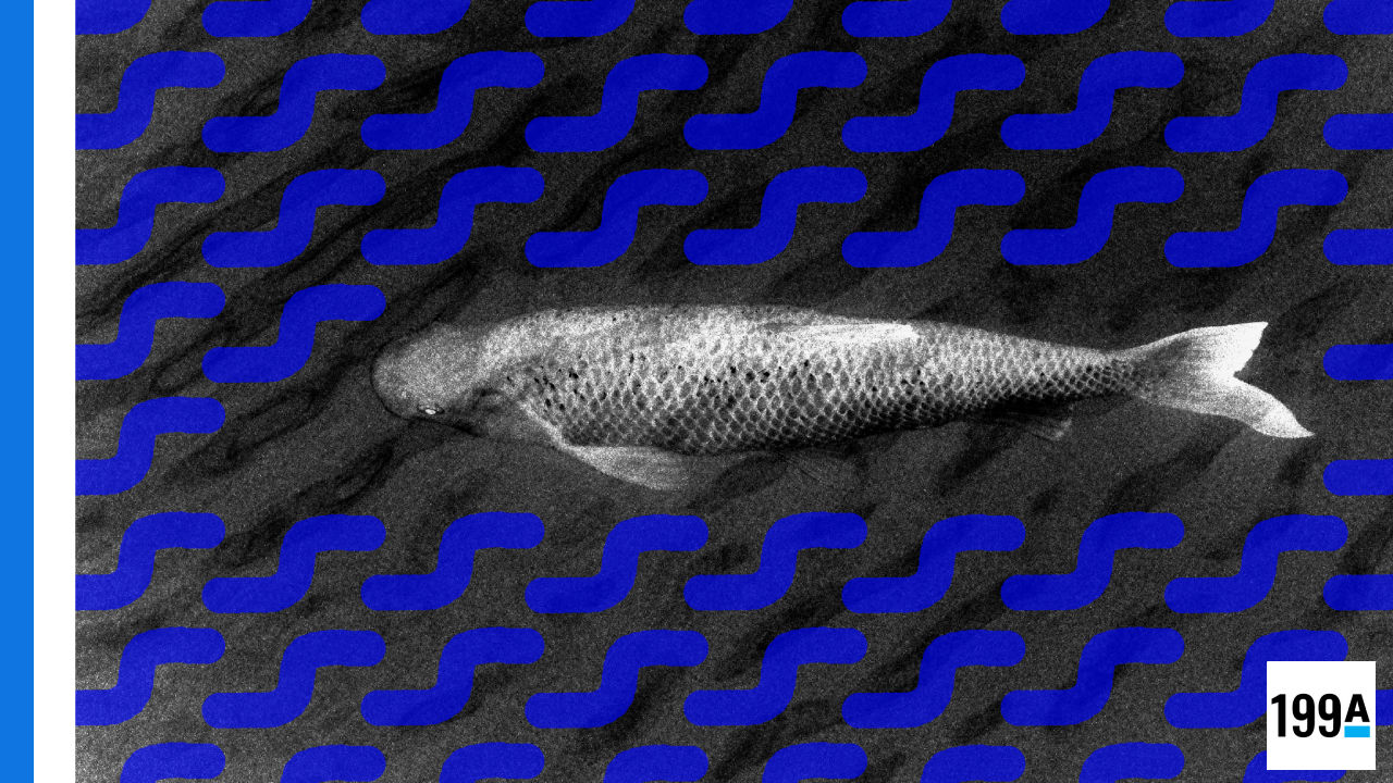 Chat Control: Towards a European Architecture of Systemic Surveillance