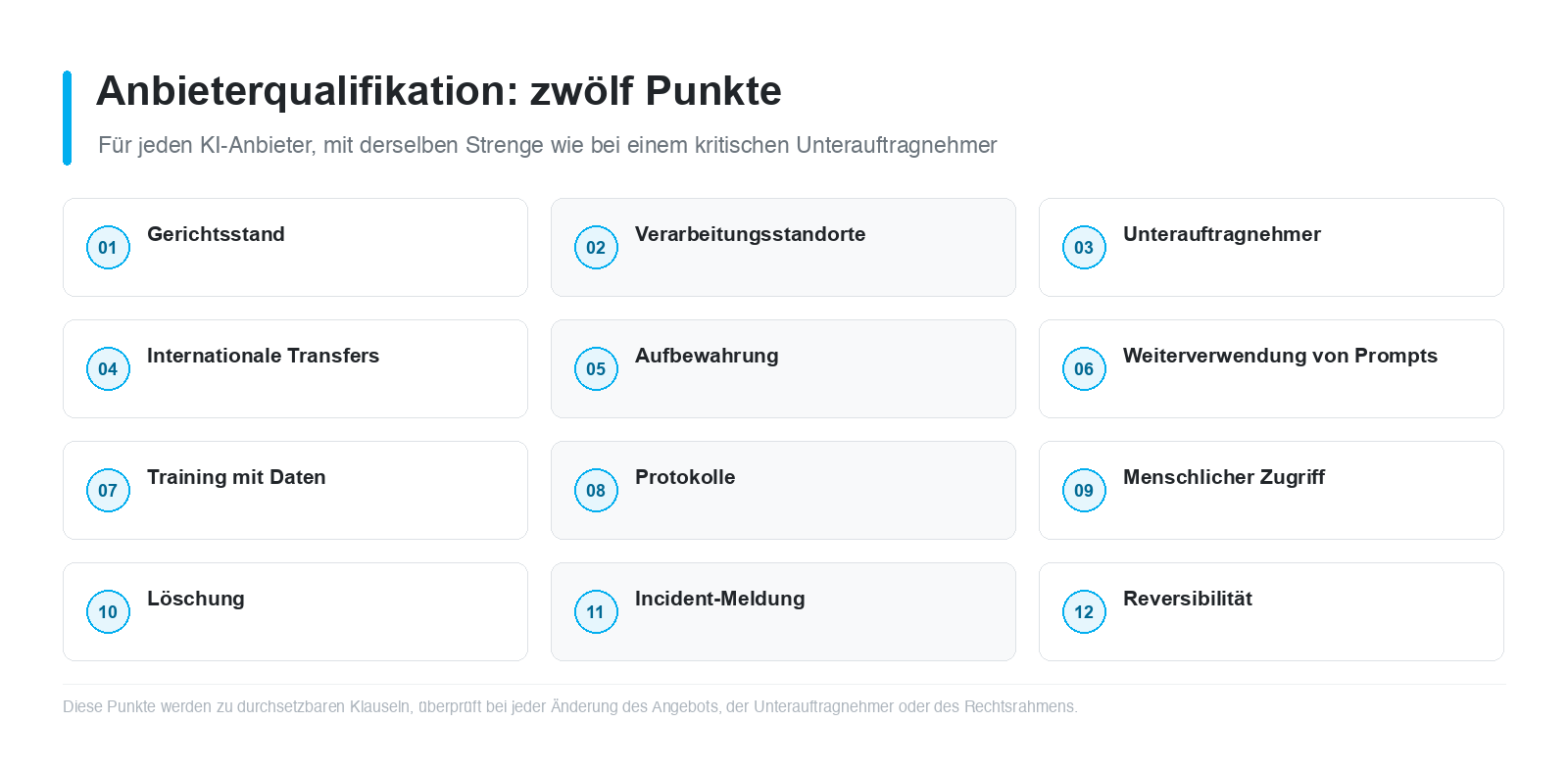 Abbildung 4 - Zwölf Punkte, die für jeden KI-Anbieter festzuhalten sind