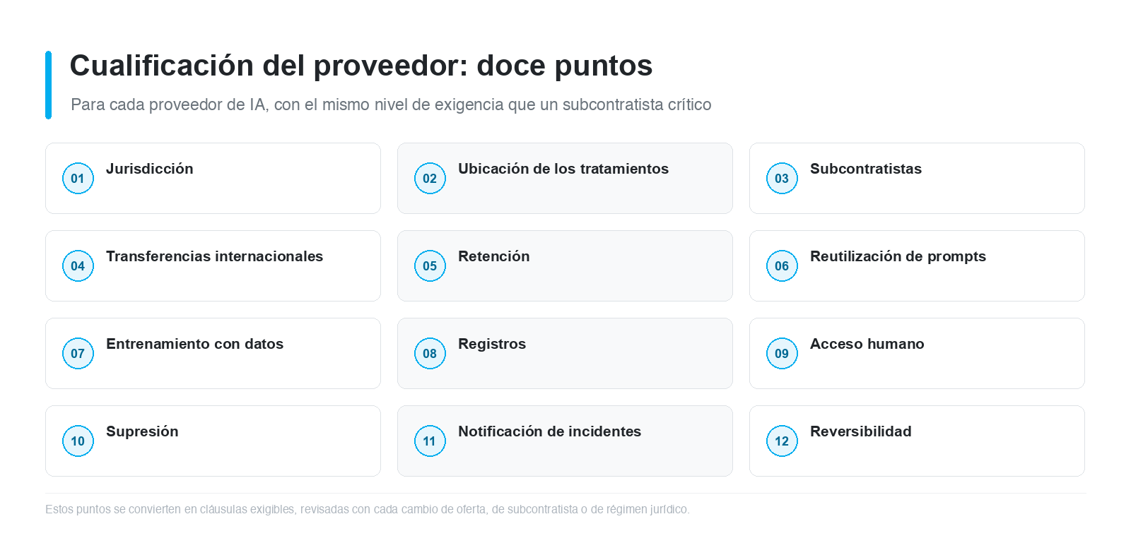 Figura 4 - Doce puntos que establecer para cada proveedor de IA