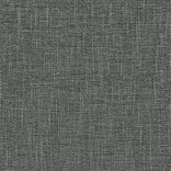 T251 T251