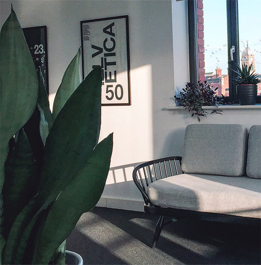 An interior of the Binaryfold4 office with a large green plant in the foreground and an ercol sofa in the background