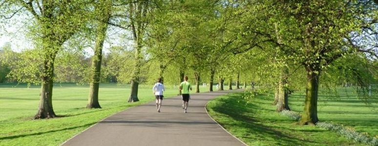 runners in Darley Park
