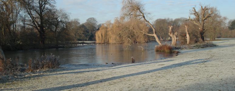 A view of Markeaton Park in Winter