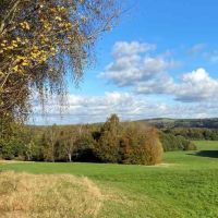 allestree-park-before-rewilding-news-story.jpg