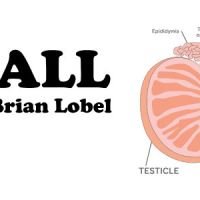 Ball-01-web-content2.jpg