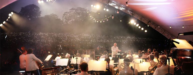 The Sinfonia Viva orchestra on stage at the Darley Park concert.