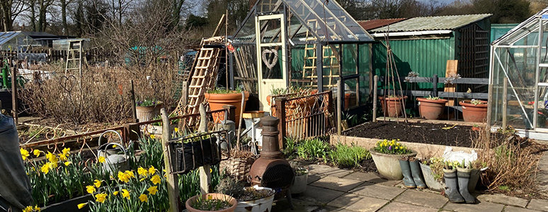 allotment 