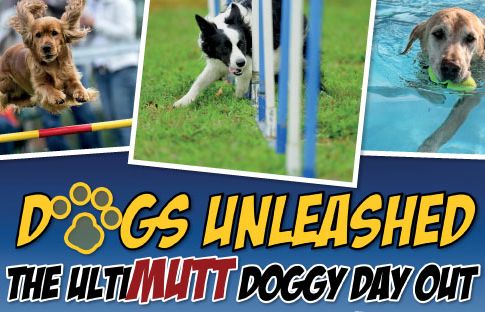 Dogs Unleashed