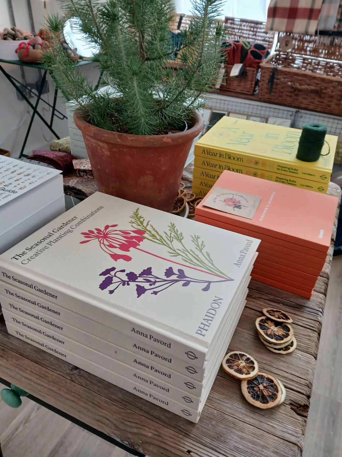 Image 3 for Mark's Wilder Gardens