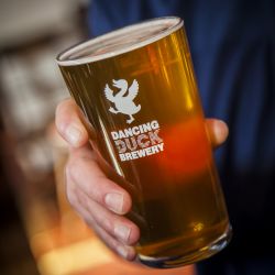 Dancing Duck - Night in the Brewery