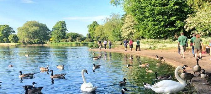 Alvaston Park lake