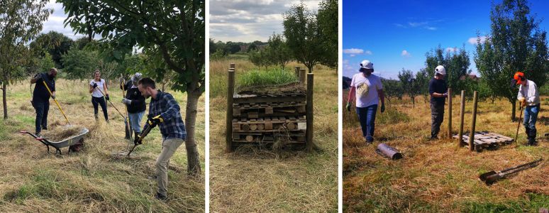 images of bee hotel 