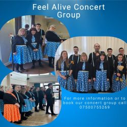 Live music With Feel Alive Concert Group