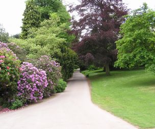 Image for link to Resident info
